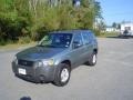 2007 Titanium Green Metallic Ford Escape XLS  photo #1