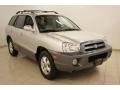 Pewter - Santa Fe GLS Photo No. 1