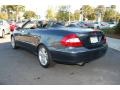 2008 Steel Grey Metallic Mercedes-Benz CLK 350 Cabriolet  photo #20