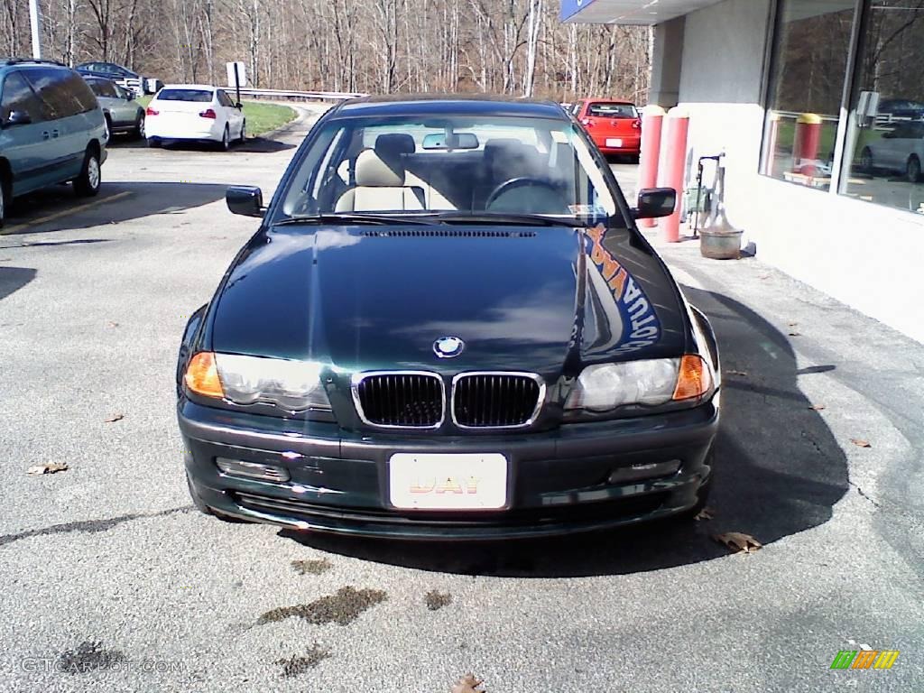 2001 3 Series 325i Sedan - Fern Green Metallic / Sand photo #3