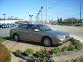 Light Bronzemist Metallic - LeSabre Custom Photo No. 4