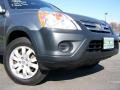 Pewter Pearl - CR-V EX 4WD Photo No. 2