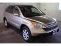 2007 Borrego Beige Metallic Honda CR-V EX-L 4WD  photo #6