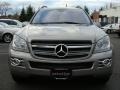 Pewter Metallic - GL 450 Photo No. 2