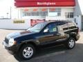 Black - Grand Cherokee Laredo 4x4 Photo No. 1