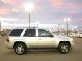 Silver Ice Metallic - TrailBlazer LT 4x4 Photo No. 4