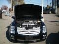 Black Raven - STS V8 Photo No. 15