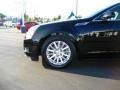 Black Raven - CTS 3.0 Sedan Photo No. 4