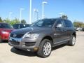 Alaska Grey Metallic 2009 Volkswagen Touareg 2 TDI