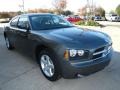 2010 Dark Titanium Metallic Dodge Charger SE  photo #7