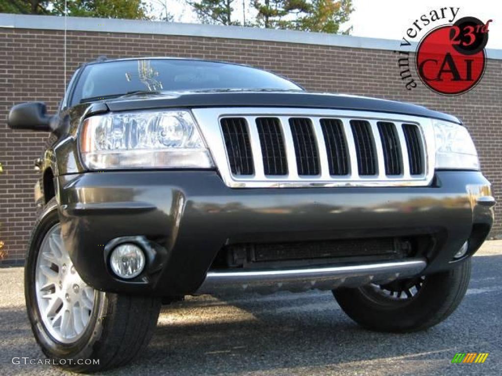 2004 Grand Cherokee Limited - Dark Khaki Pearl / Dark Slate Gray photo #1