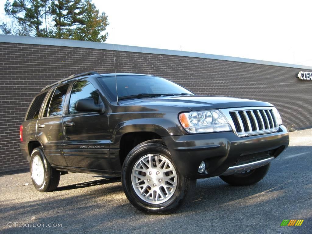 2004 Grand Cherokee Limited - Dark Khaki Pearl / Dark Slate Gray photo #2
