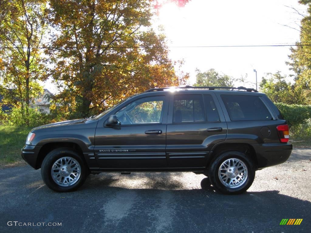 2004 Grand Cherokee Limited - Dark Khaki Pearl / Dark Slate Gray photo #5