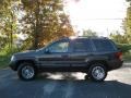 2004 Dark Khaki Pearl Jeep Grand Cherokee Limited  photo #5