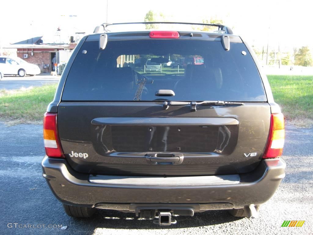 2004 Grand Cherokee Limited - Dark Khaki Pearl / Dark Slate Gray photo #7