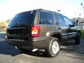 2004 Dark Khaki Pearl Jeep Grand Cherokee Limited  photo #8