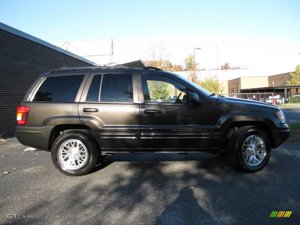 2004 Grand Cherokee Limited - Dark Khaki Pearl / Dark Slate Gray photo #9