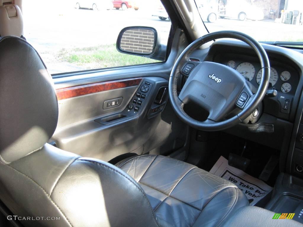 2004 Grand Cherokee Limited - Dark Khaki Pearl / Dark Slate Gray photo #10