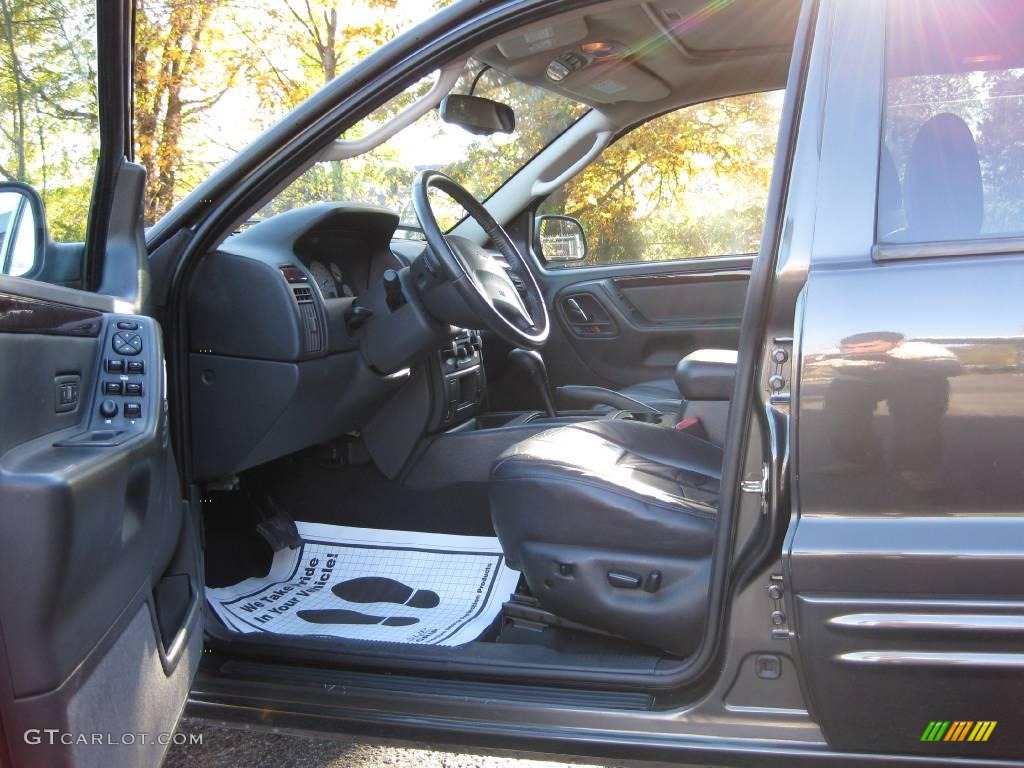 2004 Grand Cherokee Limited - Dark Khaki Pearl / Dark Slate Gray photo #14