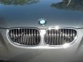 2007 Titanium Grey Metallic BMW 5 Series 530i Sedan  photo #8