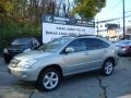 2007 Bamboo Green Pearl Lexus RX 350 AWD  photo #1