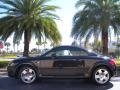 2001 Aviator Grey Pearl Audi TT 1.8T quattro Coupe #2126746