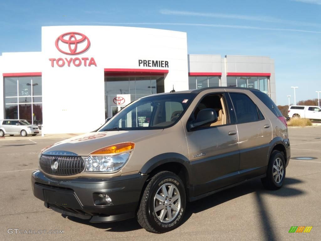 Light Driftwood Metallic Buick Rendezvous