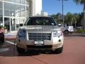 2008 Nazca Sand Metallic Land Rover LR2 HSE  photo #6