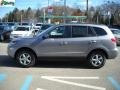 2007 Platinum Sage Hyundai Santa Fe GLS 4WD  photo #6