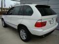 Alpine White - X5 3.0i Photo No. 3