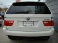 Alpine White - X5 3.0i Photo No. 4