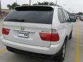 Alpine White - X5 3.0i Photo No. 3