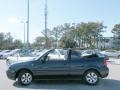 Batik Blue Pearl - Cabrio GLX Photo No. 14