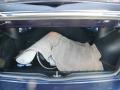 Batik Blue Pearl - Cabrio GLX Photo No. 29
