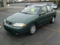 Jaded Pearl - Sentra GXE Photo No. 8