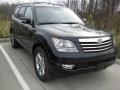 2009 Ebony Black Kia Borrego EX V8 4x4  photo #1