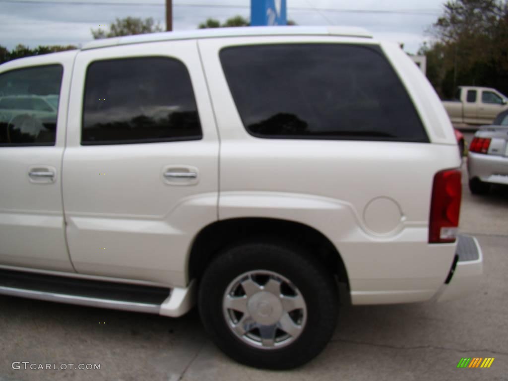 2003 Escalade  - White Diamond / Shale photo #30
