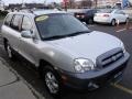 Pewter - Santa Fe GLS 3.5 4WD Photo No. 6