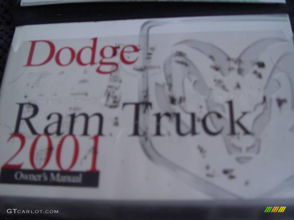 2001 Ram 1500 Sport Regular Cab 4x4 - Flame Red / Agate photo #18