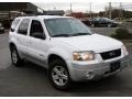 Oxford White - Escape Hybrid 4WD Photo No. 3