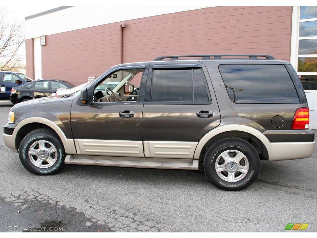 2006 Expedition Eddie Bauer 4x4 - Dark Stone Metallic / Medium Parchment photo #10