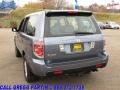 2007 Steel Blue Metallic Honda Pilot LX 4WD  photo #2