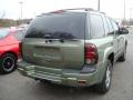 Silver Green Metallic - TrailBlazer LS 4x4 Photo No. 2