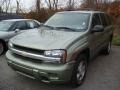 Silver Green Metallic - TrailBlazer LS 4x4 Photo No. 5