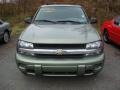 Silver Green Metallic - TrailBlazer LS 4x4 Photo No. 6