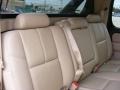 Gold Mist Metallic - Avalanche LTZ Photo No. 24
