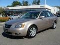 Golden Beige - Sonata GLS V6 Photo No. 1