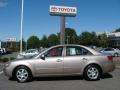 Golden Beige - Sonata GLS V6 Photo No. 3