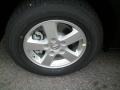 Blackberry Metallic - Grand Caravan SXT Photo No. 24