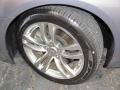 Platinum Graphite Gray - G 37 Coupe Photo No. 20